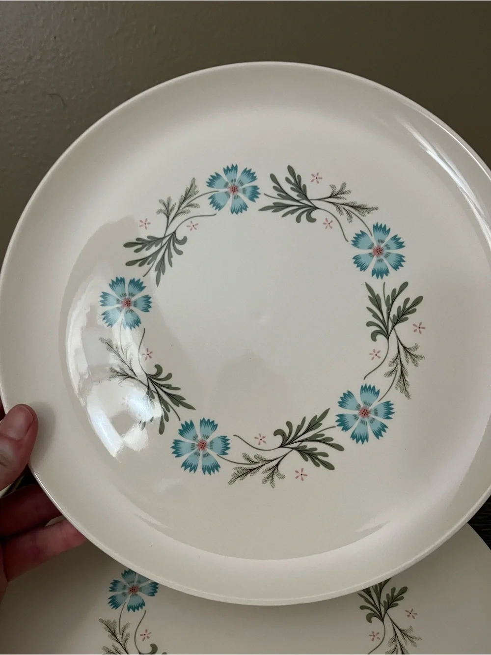 Vintage Taylor Smith & Taylor “Bridal Wreath” dinner plates set of four